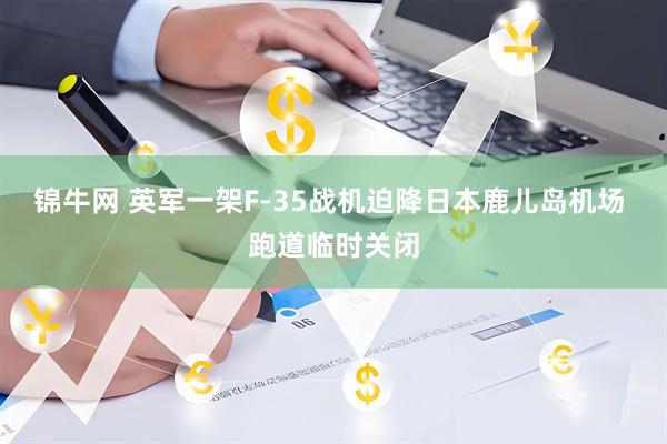 锦牛网 英军一架F-35战机迫降日本鹿儿岛机场 跑道临时关闭