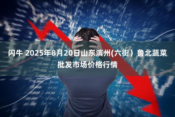 闪牛 2025年8月20日山东滨州(六街）鲁北蔬菜批发市场价格行情