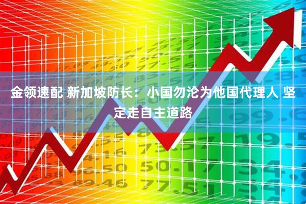 金领速配 新加坡防长：小国勿沦为他国代理人 坚定走自主道路