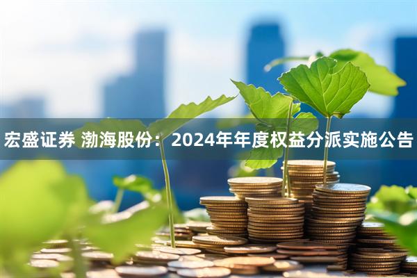 宏盛证券 渤海股份：2024年年度权益分派实施公告