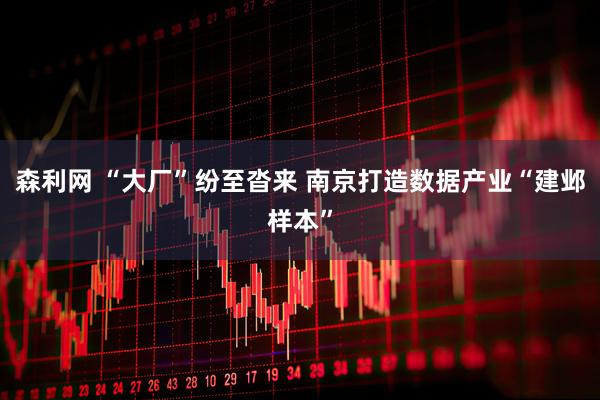 森利网 “大厂”纷至沓来 南京打造数据产业“建邺样本”