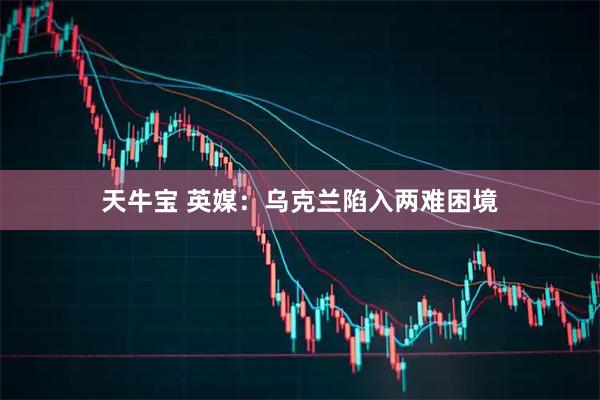 天牛宝 英媒：乌克兰陷入两难困境